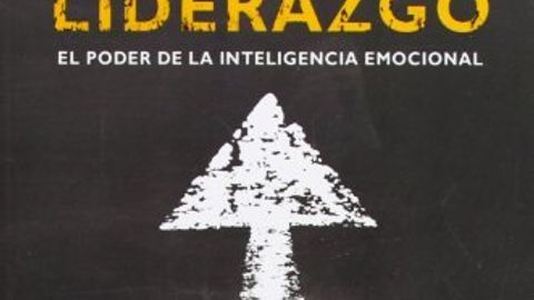 Liderazgo: El poder de la inteligencia emocional